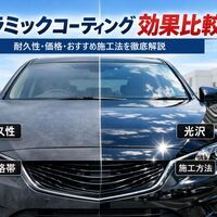 画像1265